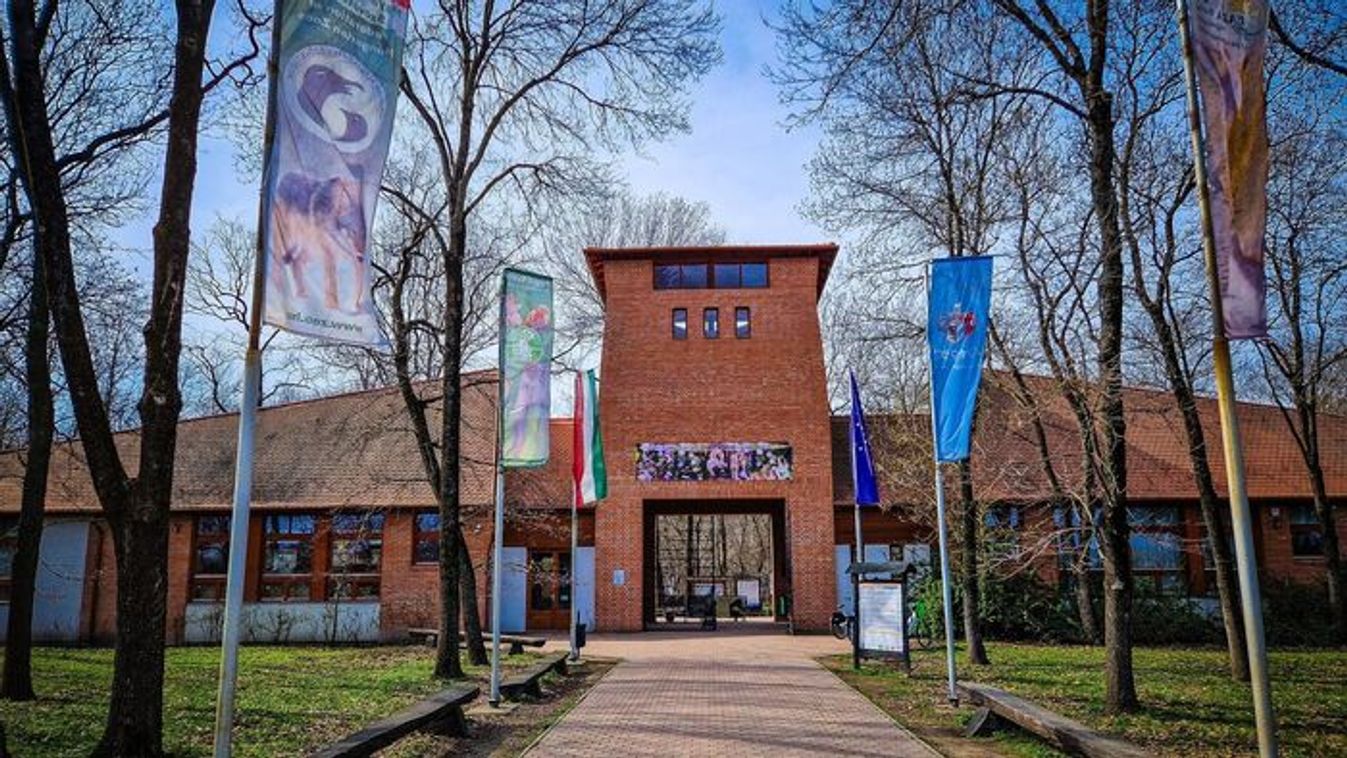 Temesvári hallgatók tanultak a Szegedi Vadasparkban +fotók +videó