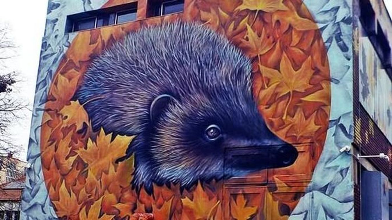 Így született egy szürke falból Szeged egyik ikonja