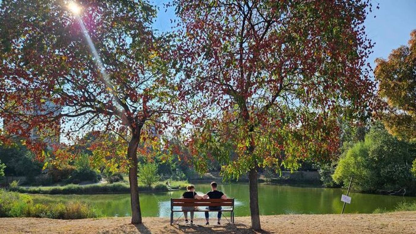 Folytatódik a tavaszias ősz Szegeden: kellemes meleg dominál szombaton