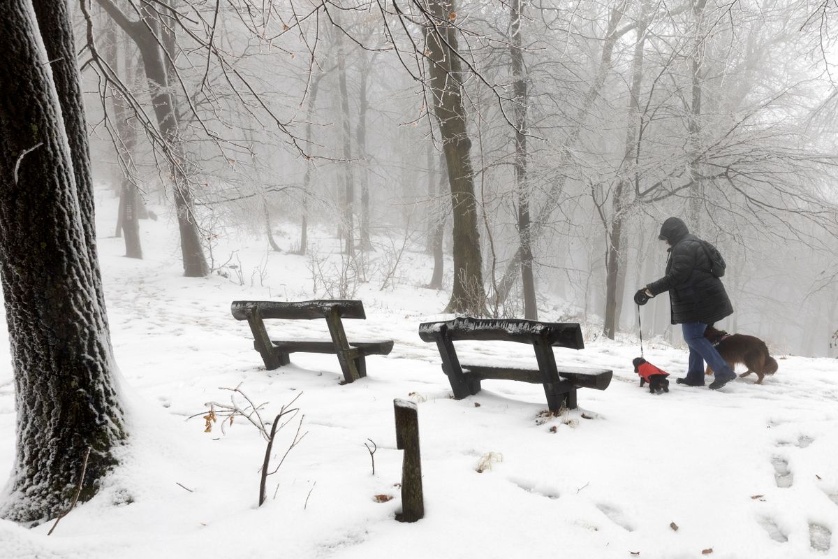 Dobogókőn ma már hóban sétáltatták a kutyákat, erre Szegeden még várni kell 