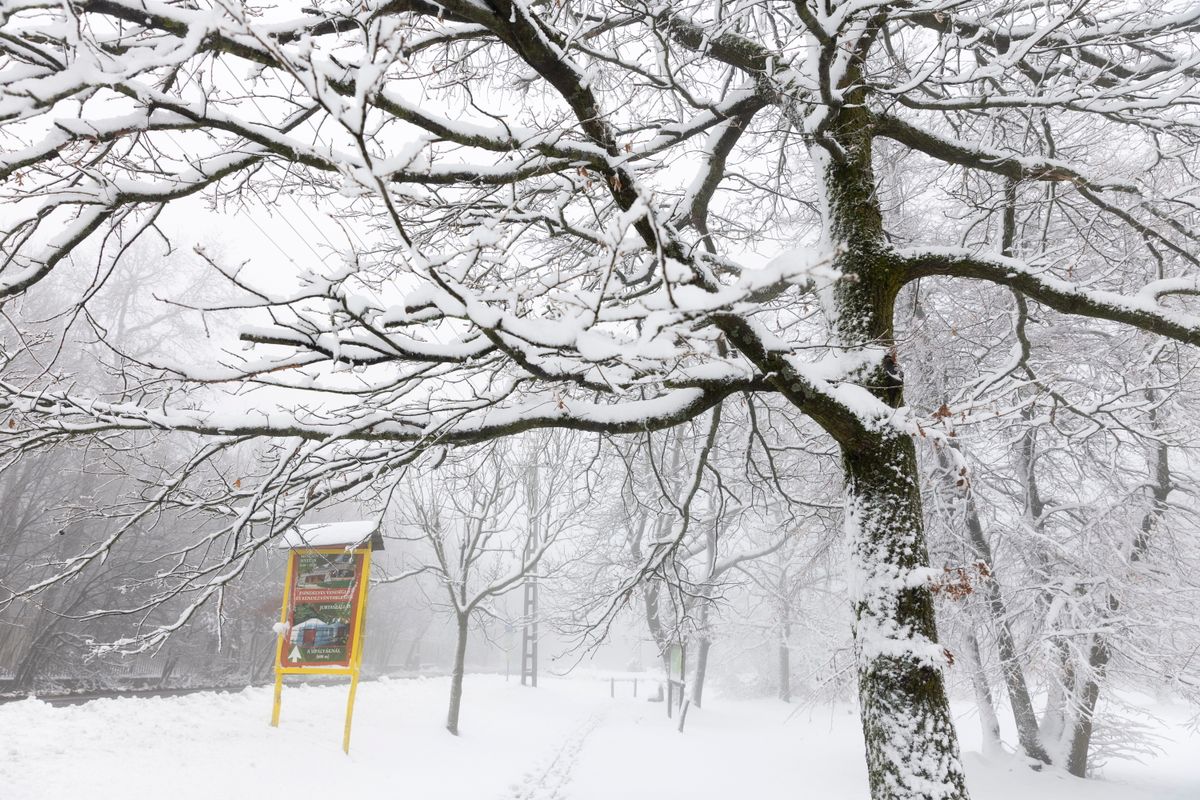 Szeged régen látott annyi havat, mint amennyi Dobogókön esett péntek reggelre