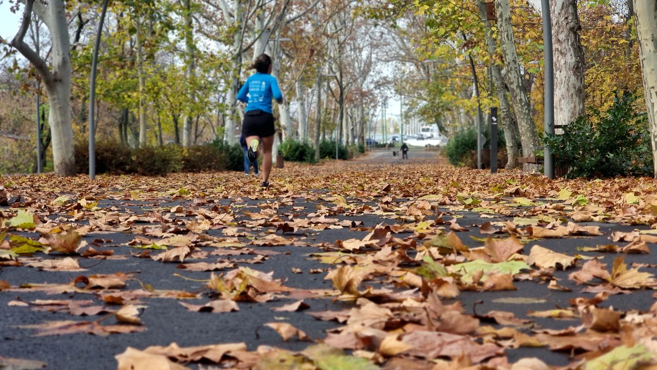 Ilyen meghittnek talán még sosem láttuk az újszegedi Erzsébet-ligetet +fotók