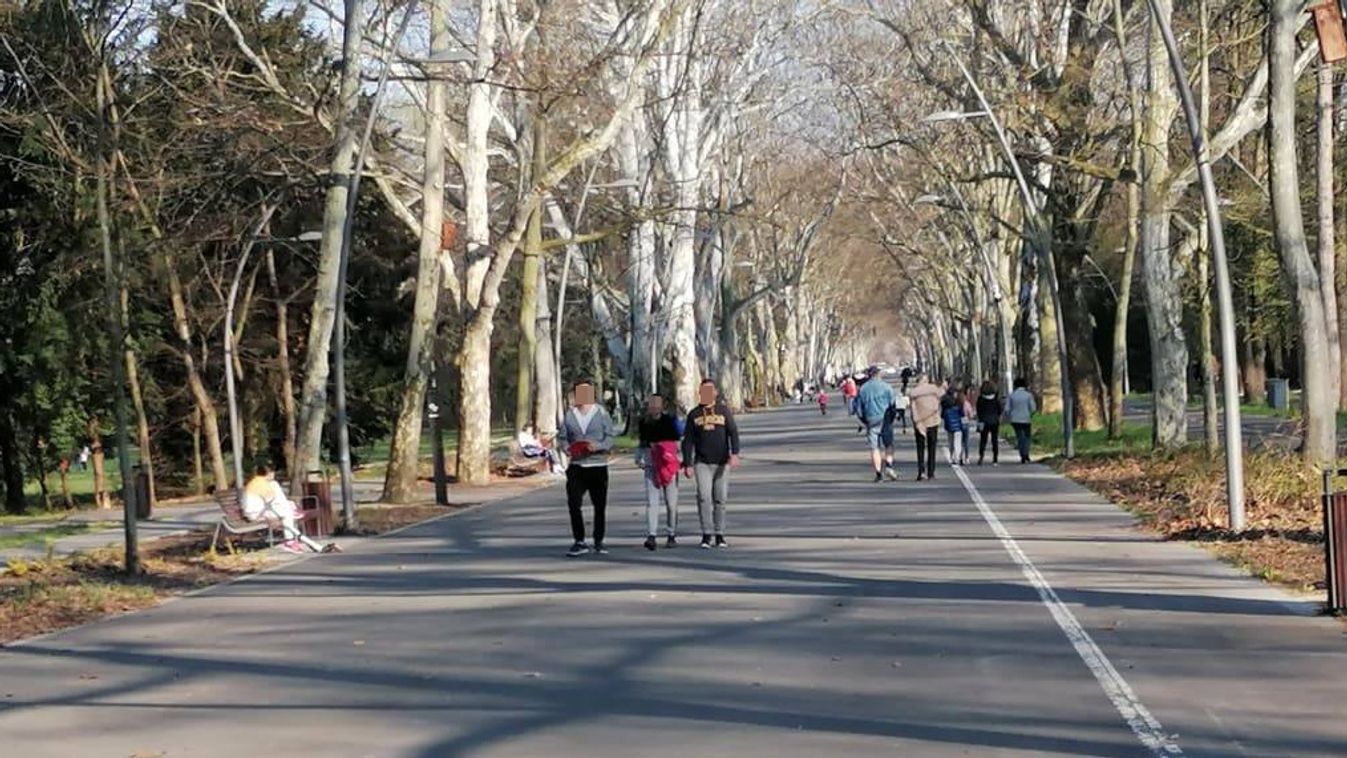 A hét témája: a szegedi parkok is fejlődhetnek a kormányzati támogatással