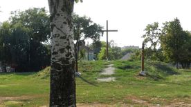 Összefogással újult meg Szegeden a kommunizmus rombolására emlékeztető kereszt