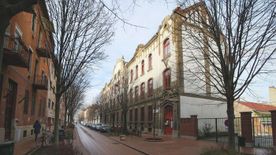 Különleges "lakók" jelentek meg a Gutenberg utcában +fotók