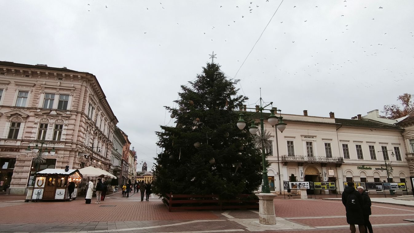 Ismét eredeti állapotában Szeged karácsonyfája +fotók