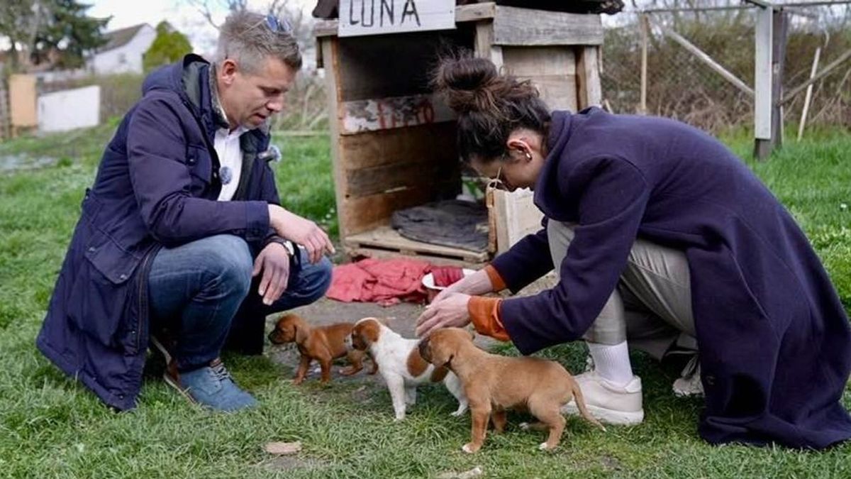 A Tisza párt elnöke, Magyar Péter rendszeresen fényképezkedik kisállatokkal, most adót fizethetünk a kiskedvencek után