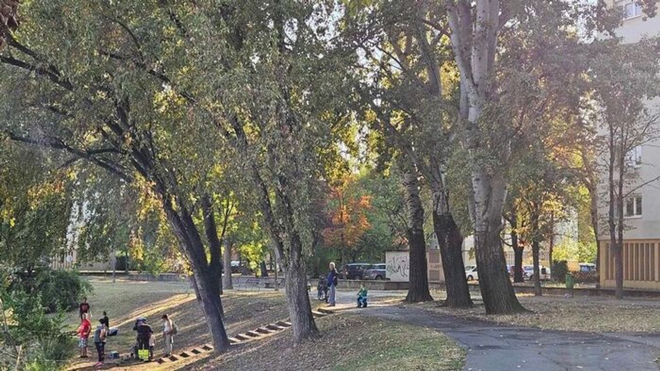 Ködös reggel után napos, enyhe délután vár Szegedre