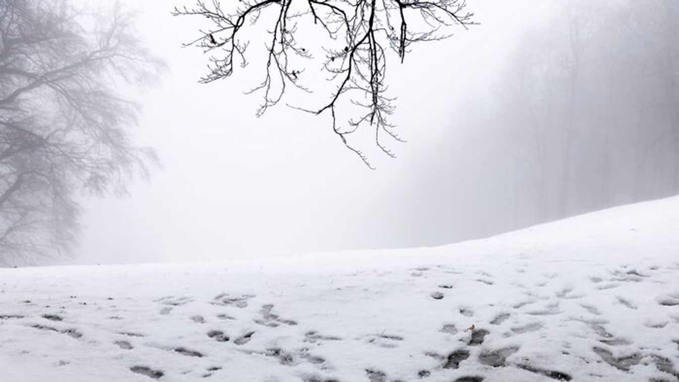 Havas hétvége jön. Szegeden is hógolyózhatunk?