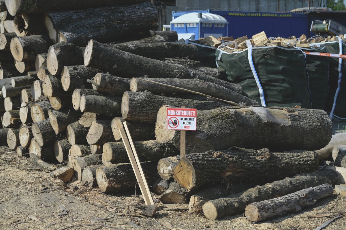 A tűzifa vásárlás ma már valóságos életmódváltás. (Fotó: Délmagyar)