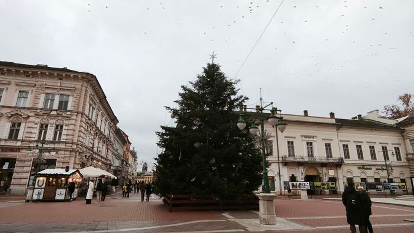 Ismét eredeti állapotában Szeged karácsonyfája +fotók