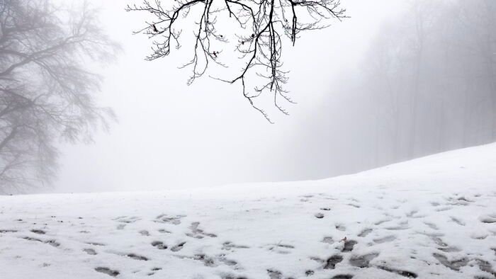 Havas hétvége jön. Szegeden is hógolyózhatunk?