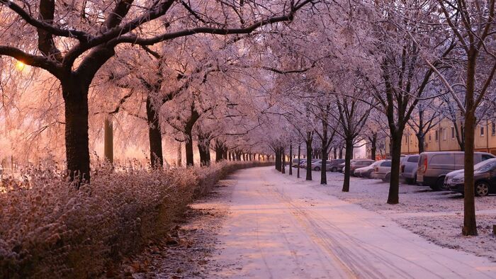 Mutatjuk a leghatékonyabb téli túlélési stratégiát Szegeden