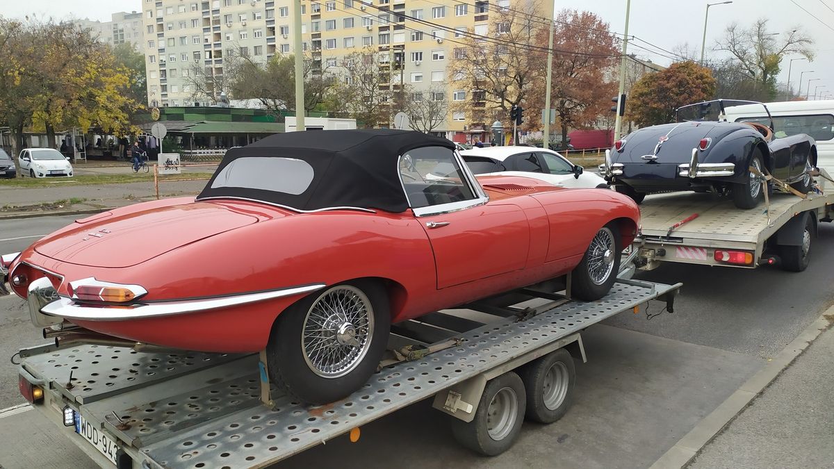 Platón szelték a Jaguarok a szegedi utakat