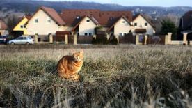 A Tisza Párt új adóterve a szegedieknek is nagyon fájna