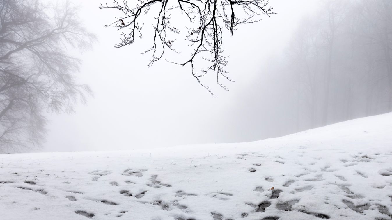 Havas hétvége jön. Szegeden is hógolyózhatunk?