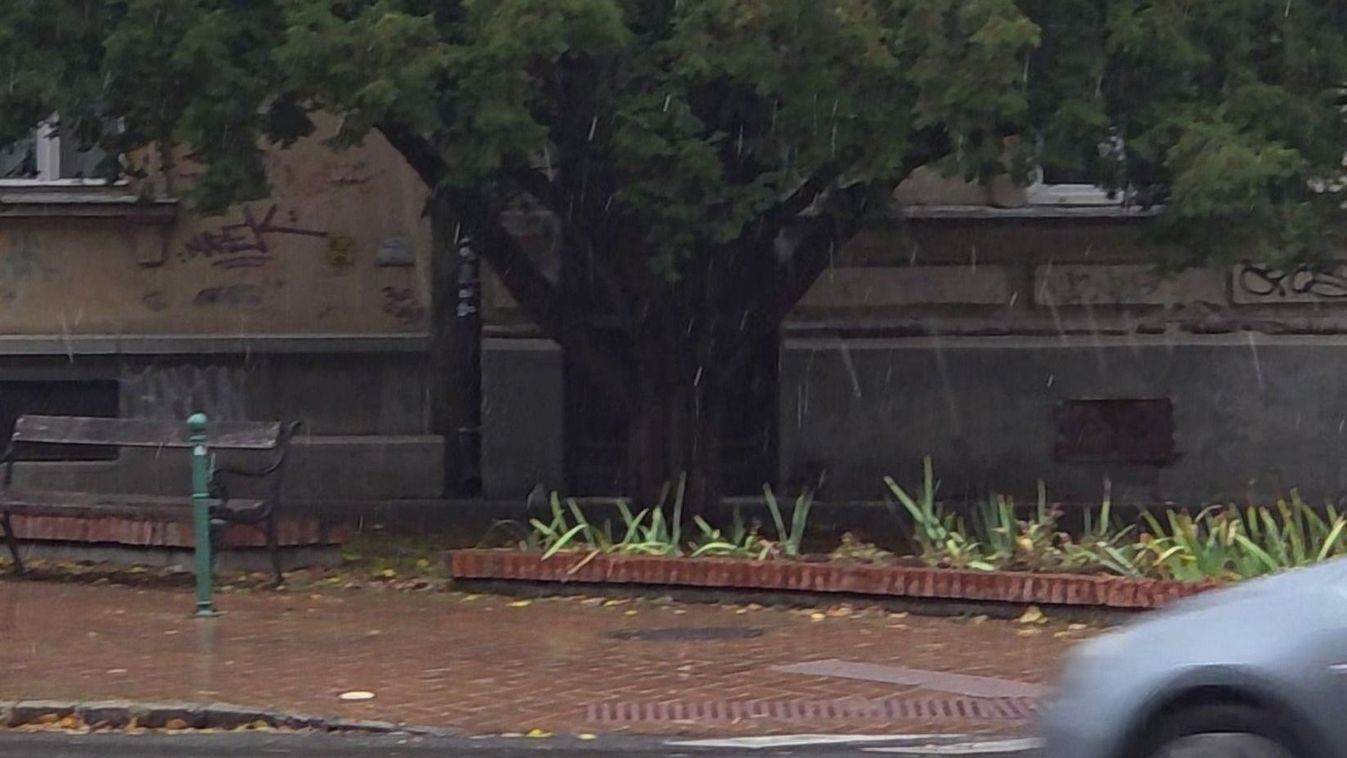 Megérkezett a tél Szegedre? Ez még nem az a hó, amire vártunk!