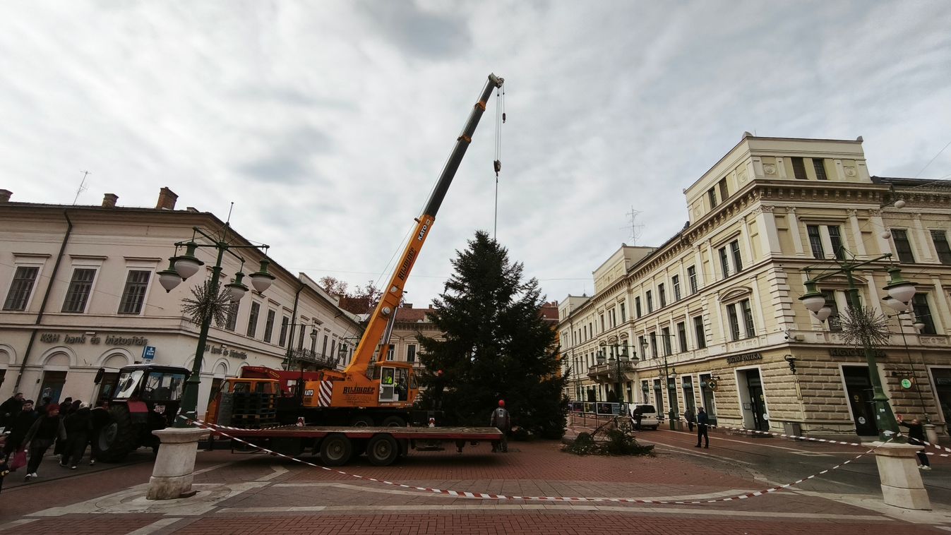 Megérkezett! Elfoglalta helyét a Klauzál téren Szeged karácsonyfája +fotók +videó