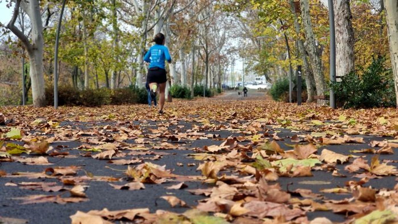 Ilyen meghittnek talán még sosem láttuk az újszegedi Erzsébet-ligetet +fotók