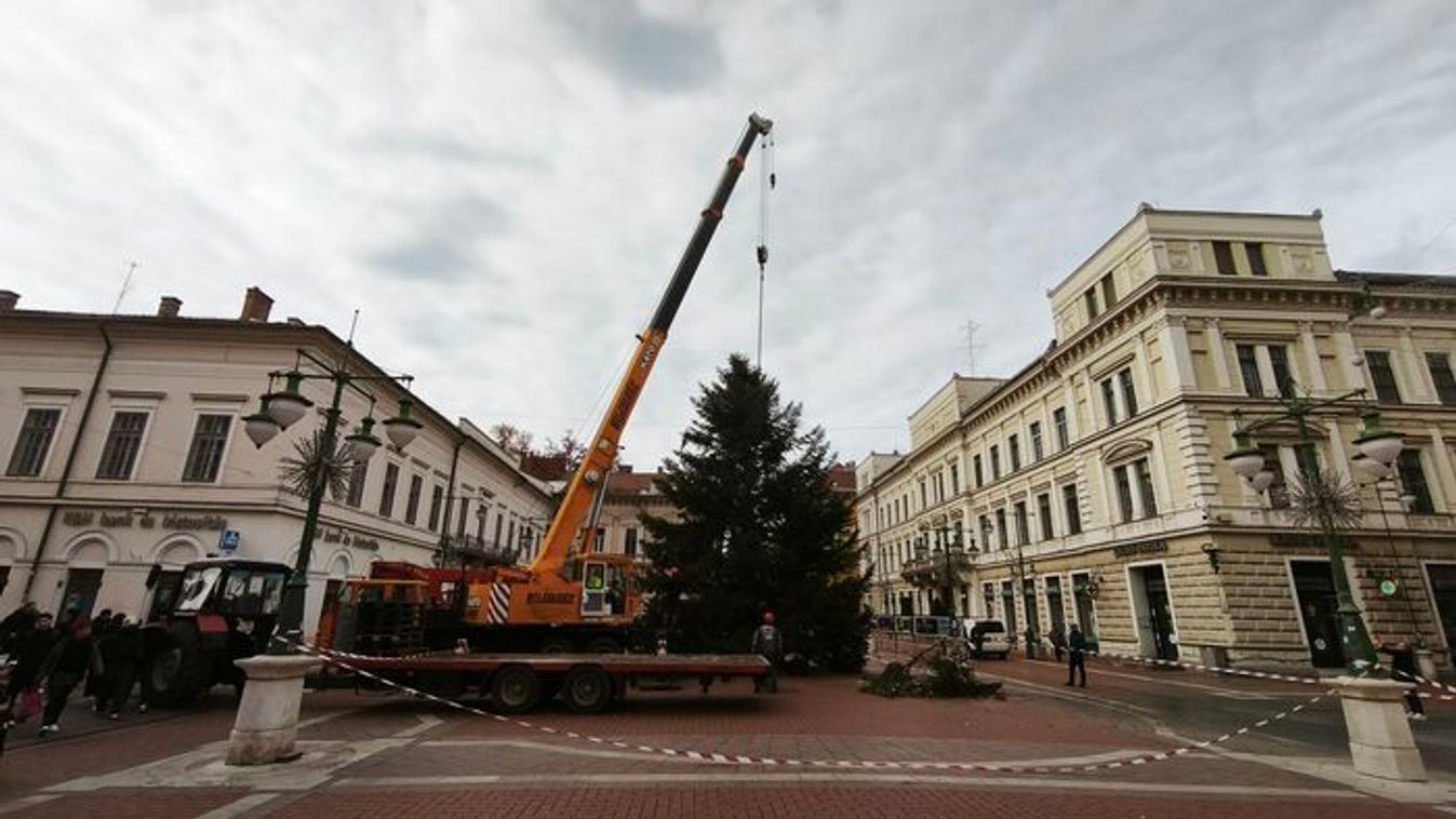 Megérkezett! Elfoglalta helyét a Klauzál téren Szeged karácsonyfája +fotók +videó