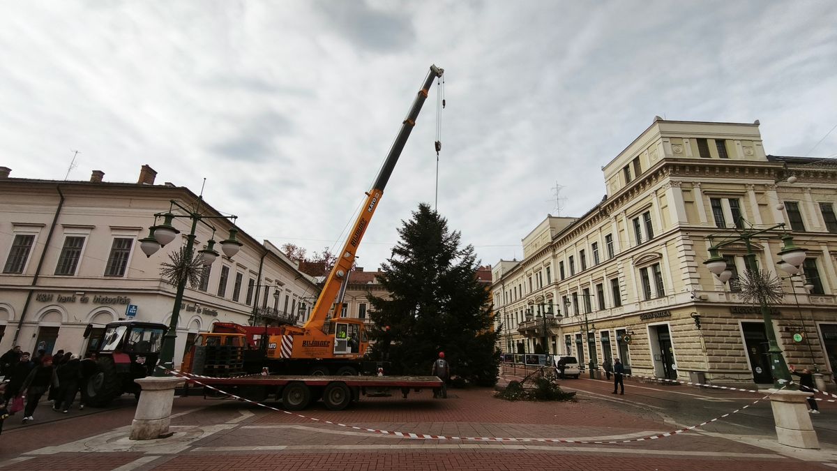 Idén is a Klauzál téren pompázik Szeged karácsonyfája. (Fotó: Tóth Norbert)
