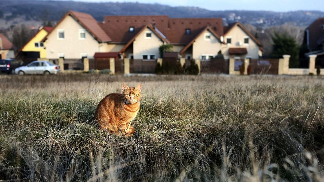A Tisza Párt új adóterve a szegedieknek is nagyon fájna