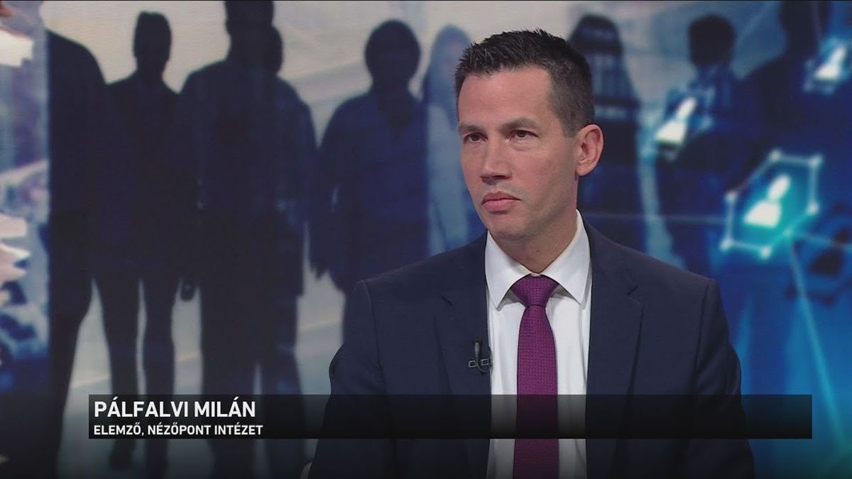 Kiderült, mi a közös a Tisza Párt jelöltjeiben (Fotó: Képernyőfotó)