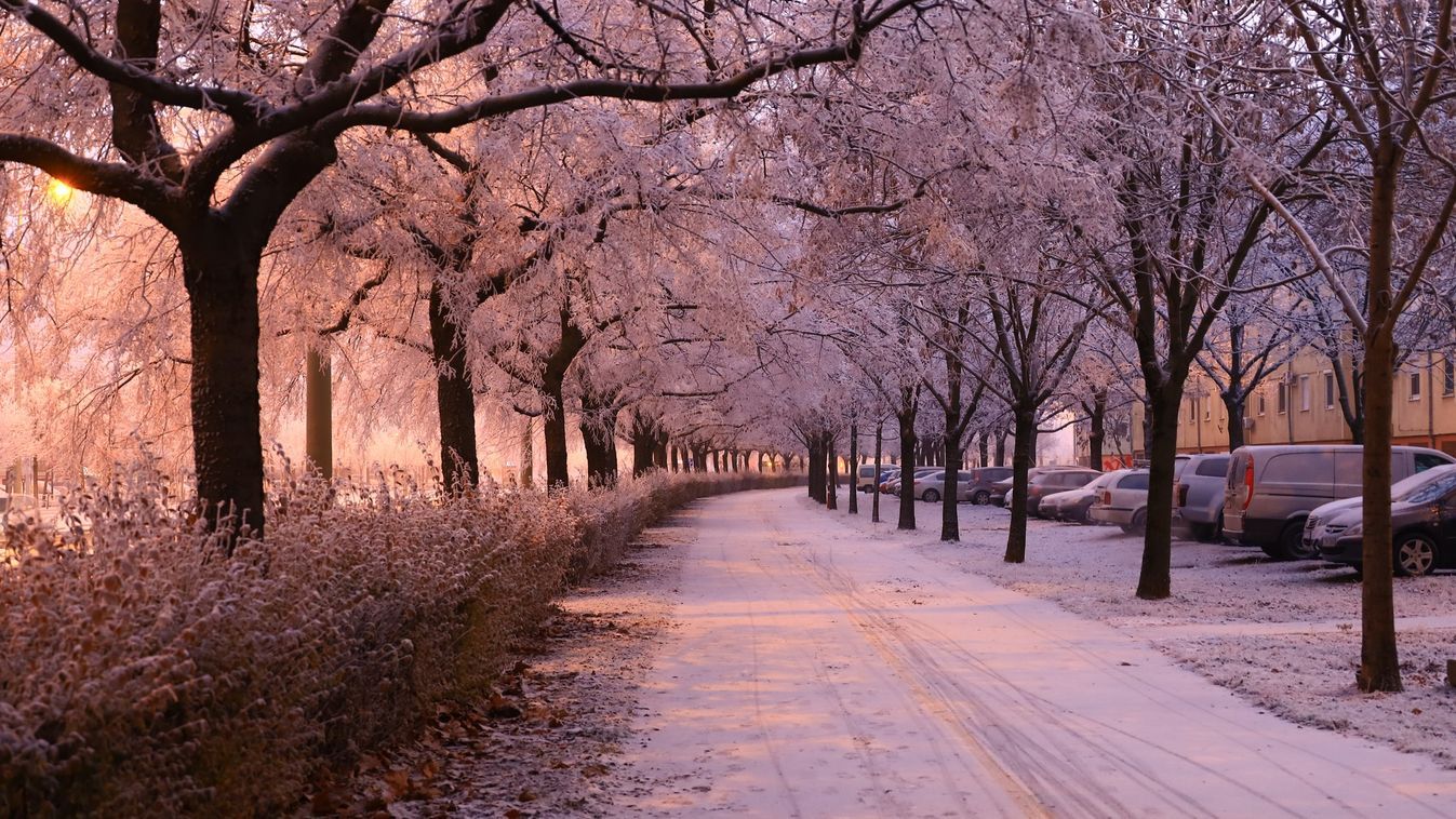 Mutatjuk a leghatékonyabb téli túlélési stratégiát Szegeden