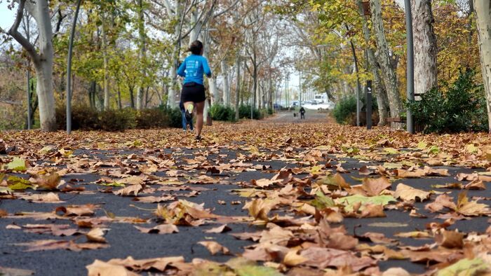 Ilyen meghittnek talán még sosem láttuk az újszegedi Erzsébet-ligetet +fotók