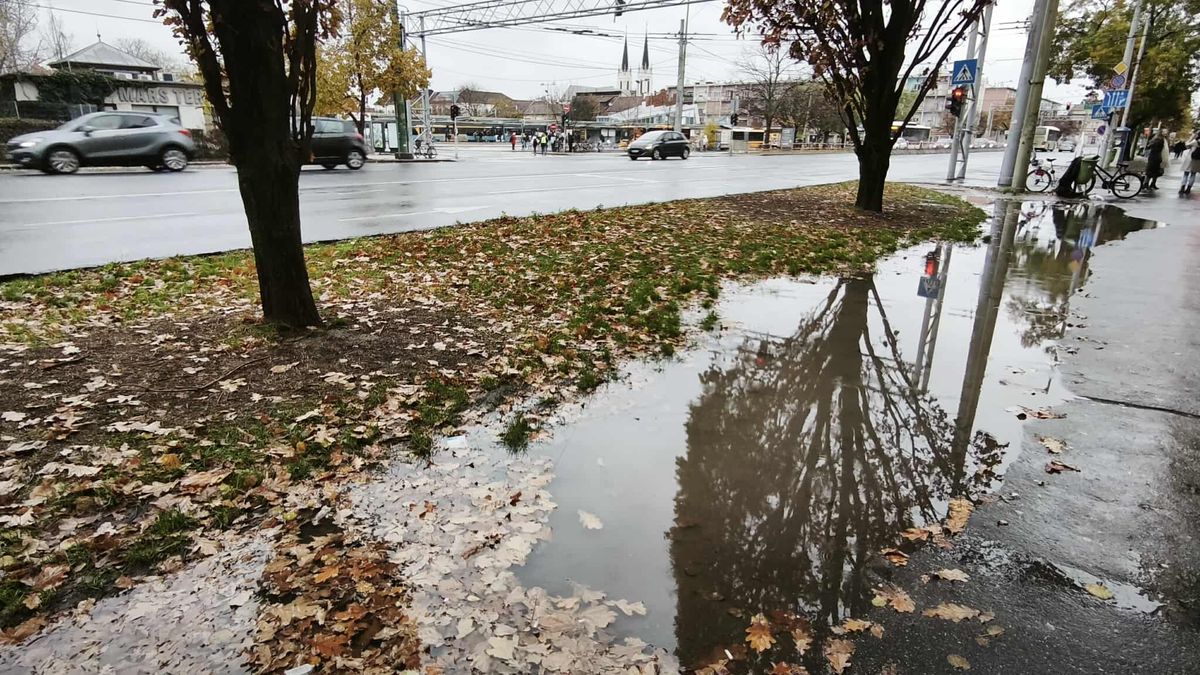 A Londoni körút egy része, a Mars tér mellett, tóvá változott. (Fotó: SzegedMA)