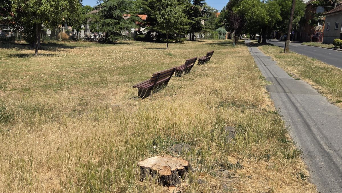 Sorra tűnnek el a padok Szegeden