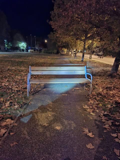 Egy ismeretlen tettes komoly balesetveszélyt okozott Újszegeden, padot húzott a bicikliút kellős közepére. (Fotó: Facebook)