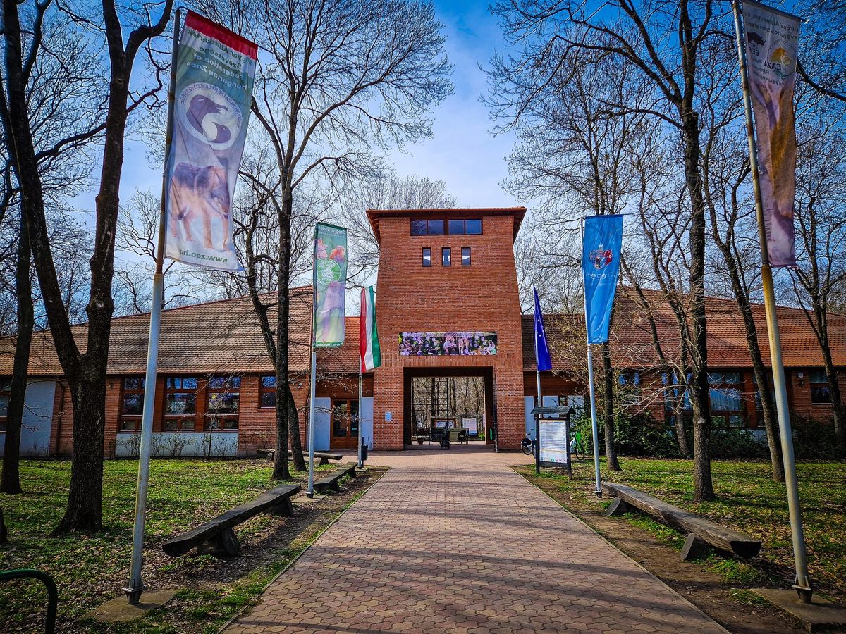 Nemzetközi együttműködés keretében tartottak szakmai napot a Szegedi Vadasparkban