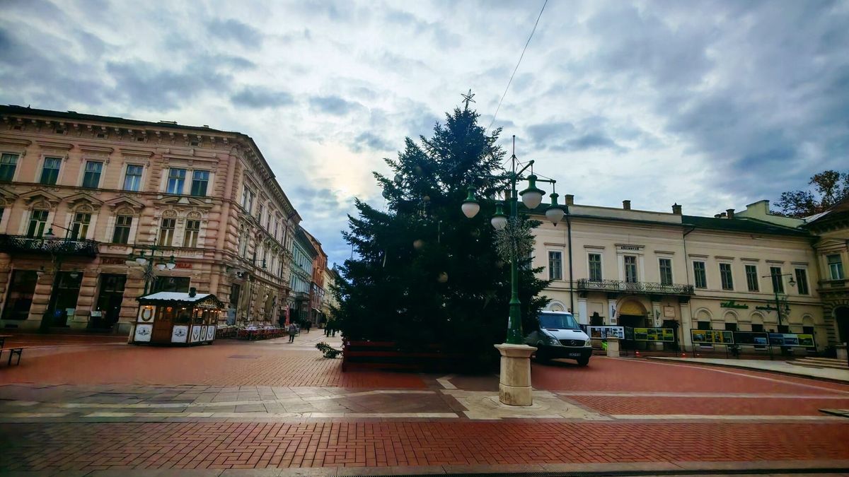 Ferdén áll Szeged karácsonyfája. (Olvasói fotó)