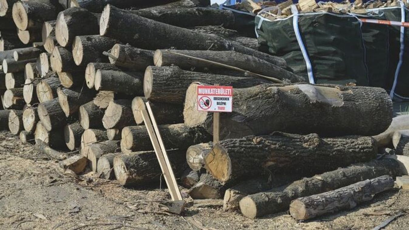A tűzifa csapda: így pazarol el egy vagyont a szegedi vásárló