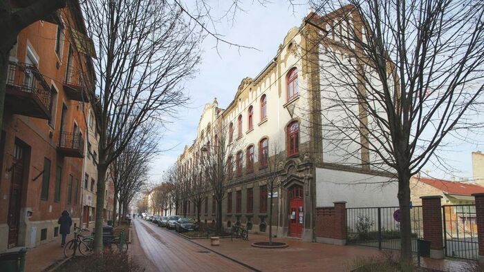 Különleges "lakók" jelentek meg a Gutenberg utcában +fotók