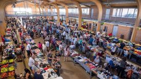 A szegedi savanyúság titka: a Mars tér, ahol sorban áll a város