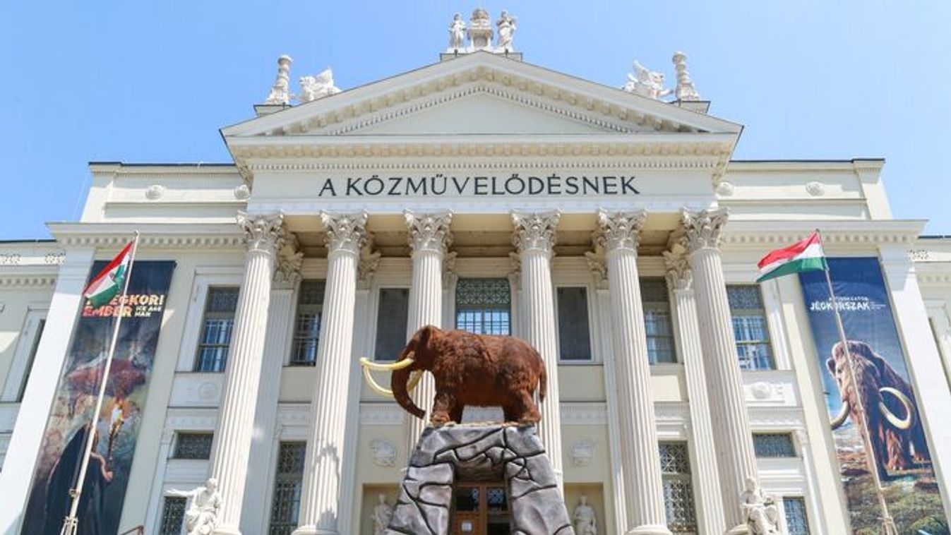 Kortárs magyar művek gazdagítják a szegedi múzeumot