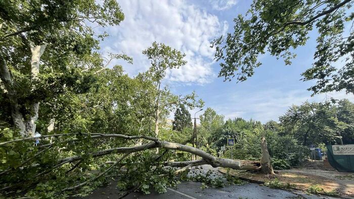 Ezek voltak 2025 legolvasottabb cikkei nálunk