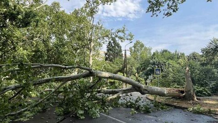 Ezek voltak 2025 legolvasottabb cikkei nálunk