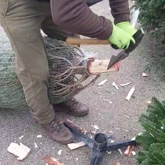 Segítünk, hogy ne fogjon ki rajtad a fenyőfa faragás. (Fotó: SzegedMA)