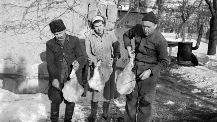 Szegedi disznóvágás: vérlevestől a mágikus hájig