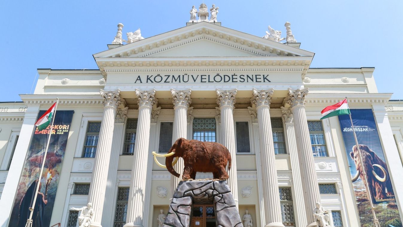 Kortárs magyar művek gazdagítják a szegedi múzeumot