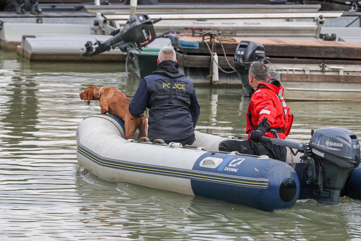 Egy profi tetemkereső kutya nagyban megkönnyíti a búvárok dolgát. (Fotó: PETER MAROSFALVI)