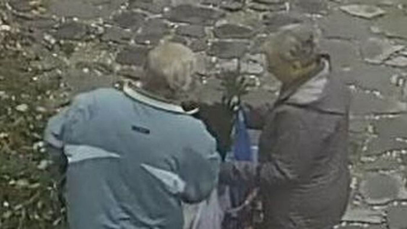 Húsz év munkáját gyalázták meg a tolvajok Szegeden +videó