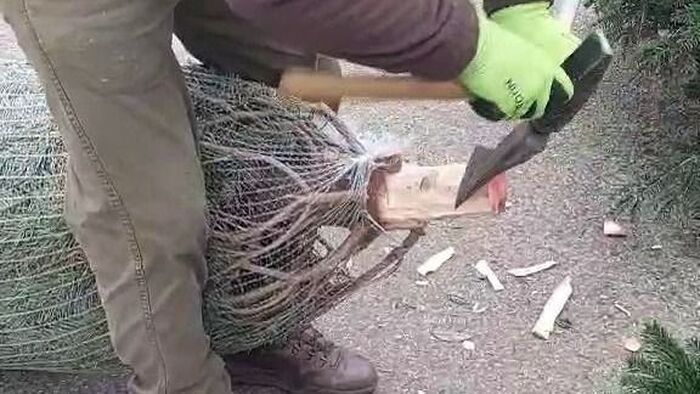 Hazavitted a Mars térről a fát, de a faragás elmaradt? Mutatjuk lépésről-lépésre +videó