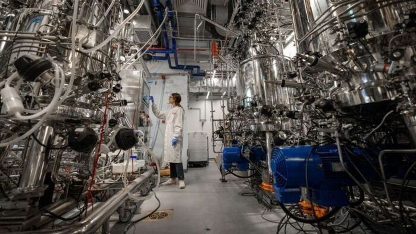 Így forgathatná fel a szegedi gasztronómiát a betiltott műhús