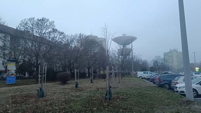 Párás hideg és köd jellemzi a vasárnapot Szegeden