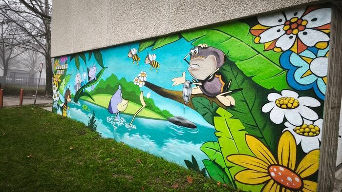 Szeged közkedvelt graffitiművésze boldog, hogy alkothat: jövőre sincs megállás