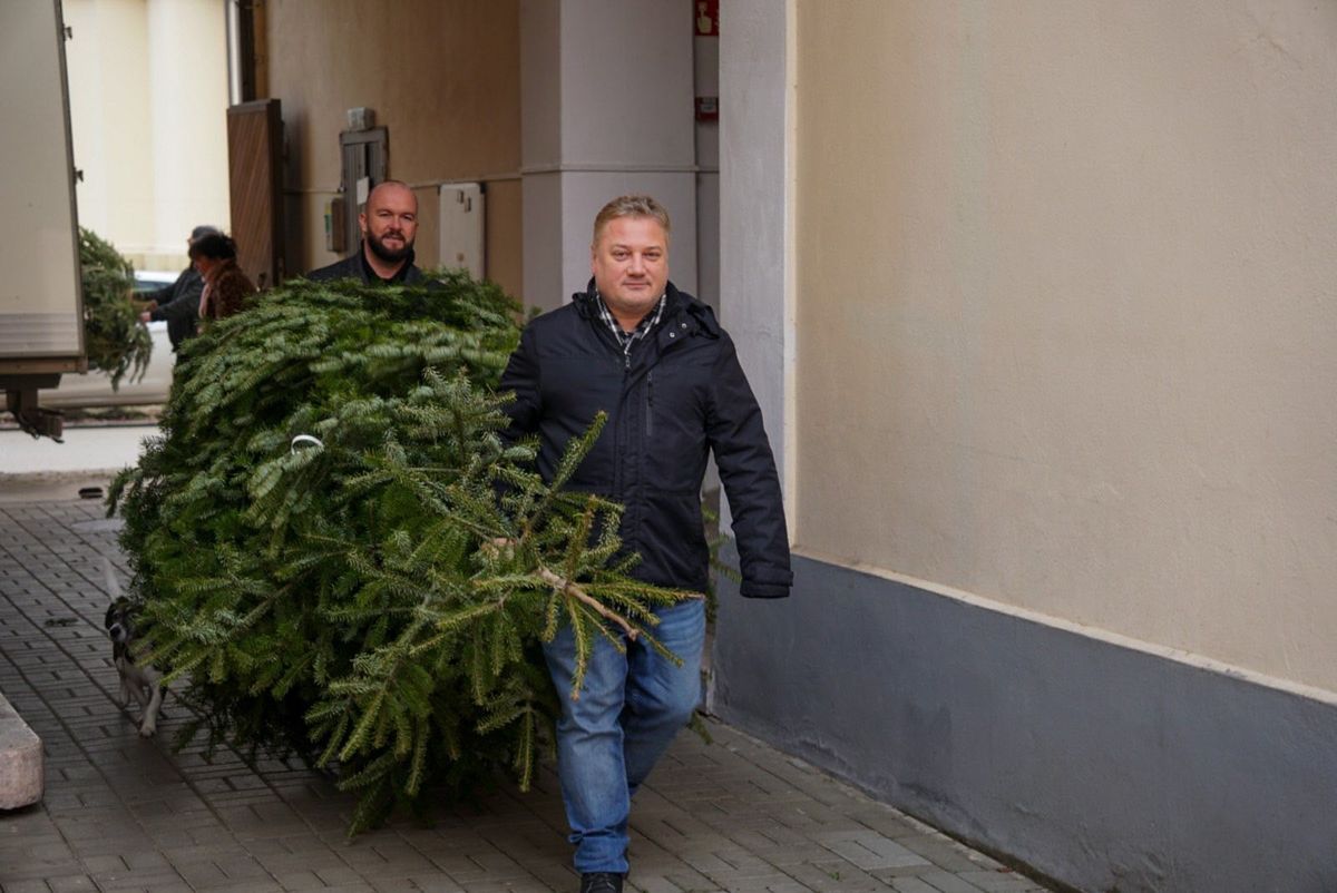 Idén is karácsonyfákat adományoztak a szegedi görögkatolikus parókia számára. (Fotó: Ruzsa Roland/Facebook)